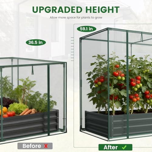 galvanized raised garden bed with crop cage plant on a desk or shelf