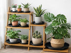 20 packs 20 inches extra-large black plant saucers, side view