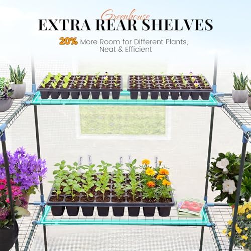 king bird premium greenhouse for outdoors, 84x56x77 upgraded shown in use
