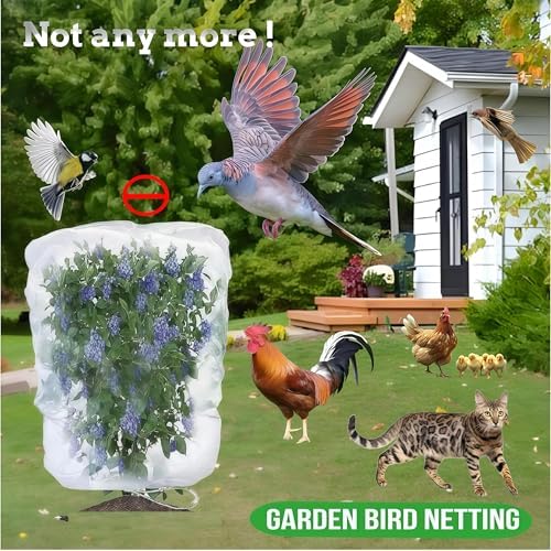 large fruit tree netting 2 pack 10x10 ft shown in use