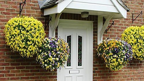 ultimate hanging baskets - strawberry, tomato, flower, and showing dimensions