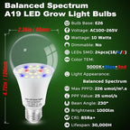 Led Grow Light Bulbs for Indoor Plants Full Spectrum E26 A19 | Grow LED Lamp 10W with Balanced 5000K Red Blue for Seeds Greens Laboratory,School,Greenhouse, Indore Garden, Hydroponic,3Pack