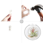 Mkono Wall Hanging Glass Terrariums Planter Oblate Flower Vase for Hydroponics Plants, Bathroom, Home Office Living Room Decor, Set of 2