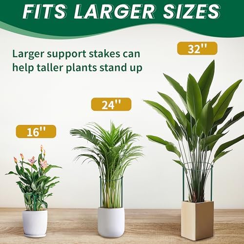 tcbwfy 14" dx32 h plant supports stakes for on a desk or shelf