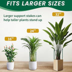 tcbwfy 14" dx32 h plant supports stakes for on a desk or shelf
