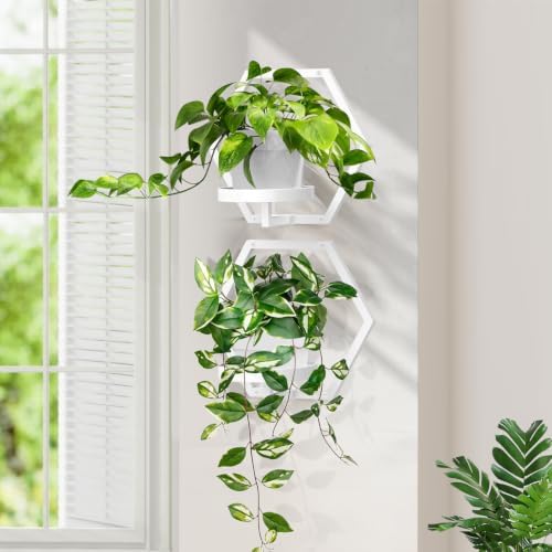 3 packs wall planters for indoor plants, 5.9inch on a desk or shelf