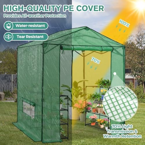 coos bay 6x6 pop up greenhouse outdoor, walk showing dimensions