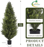 6ft artificial cedar topiary trees, set of 2 shown in use