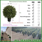 all season green 2't 19''d topiaries trees artificial, side view