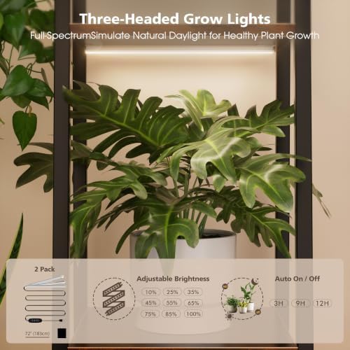 bacekoll plant stand with grow lights 6 tier, side view