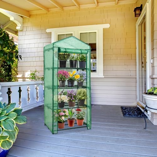 eagle peak mini greenhouse for indoor outdoor, 27x19x64 on a desk or shelf