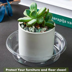 Plant Saucer 20 Pack Plant Trays for Pots 4 Inch Plastic Plant Saucers for Outdoors and Indoors Clear Drip Trays for Potted Plants Flower Pot Plates to Catch Water Plant Drainage Dishes No Holes