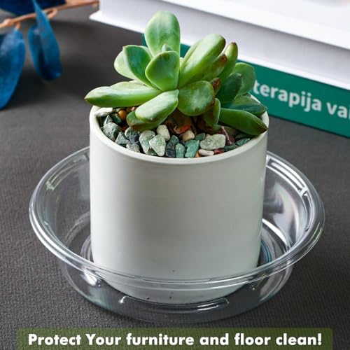 Plant Saucer 20 Pack Plant Trays for Pots 4 Inch Plastic Plant Saucers for Outdoors and Indoors Clear Drip Trays for Potted Plants Flower Pot Plates to Catch Water Plant Drainage Dishes No Holes