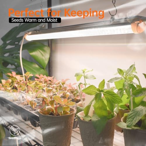 bstrip 5-tier indoor greenhouse with grow light, 35.4x13.8x71in on a desk or shelf