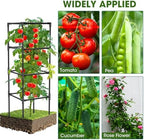 tomato cages, square tomato plant stakes support cages, package contents