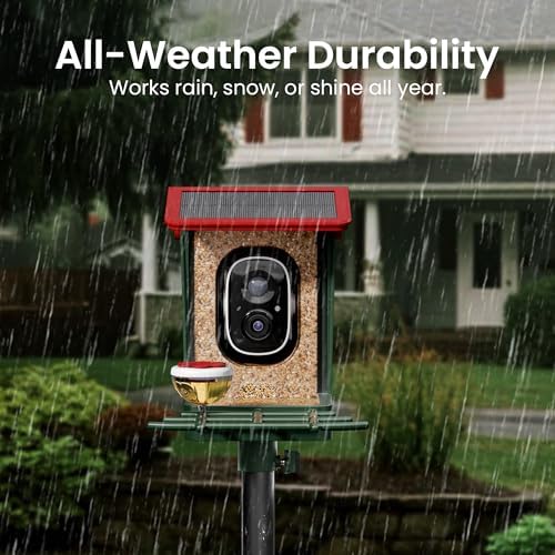 smart bird feeder with camera solar powered, 2k, front angle view
