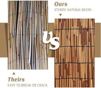 reed fencing rolls,5.5ft x 16.4ft reed screen curtain, side view