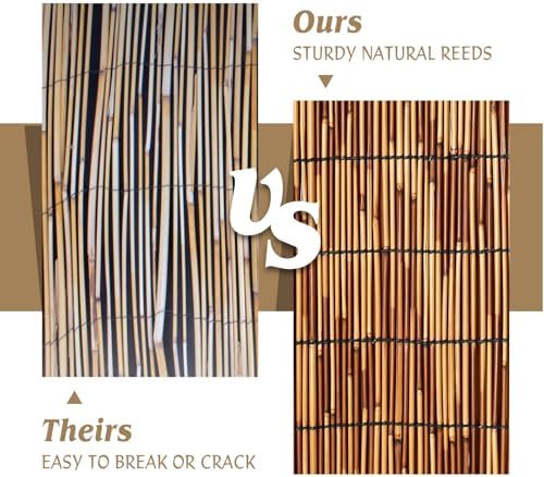 natural reed fencing roll 6ftx16.4ft privacy screen for showing dimensions