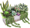 assorted artificial succulents fake plants in rectangular wooden, main product view