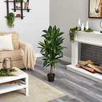 nearly natural 48 in artificial dracaena real touch, front angle view