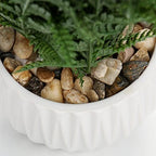 dilatata faux plant indoor in ceramic pot 12", close-up detail
