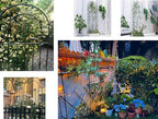 70.8" h x 19.7" w metal garden trellis, front angle view