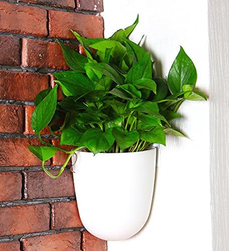 orimerc 4 pack corner wall mounted hanging planter, front angle view