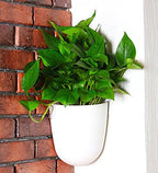 orimerc 4 pack corner wall mounted hanging planter, front angle view