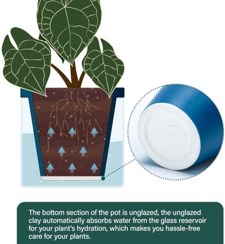 d'vine dev self-watering blue terracotta planter, 6 in showing dimensions