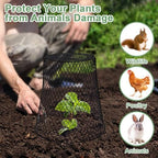 9.13"×9.13" chicken wire cloche plant covers garden netting, package contents
