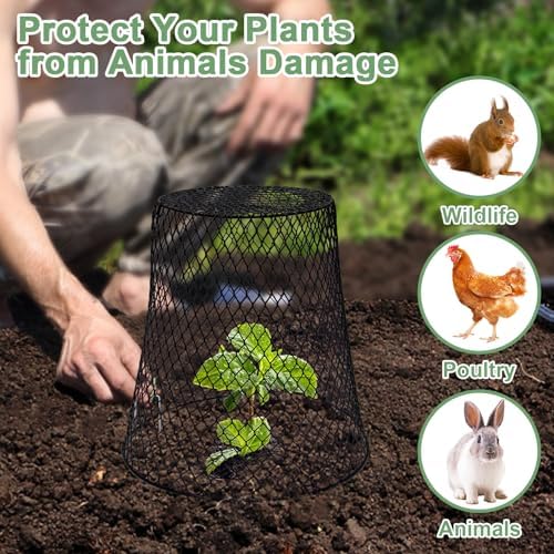 9.13"×9.13" chicken wire cloche plant covers garden netting, package contents