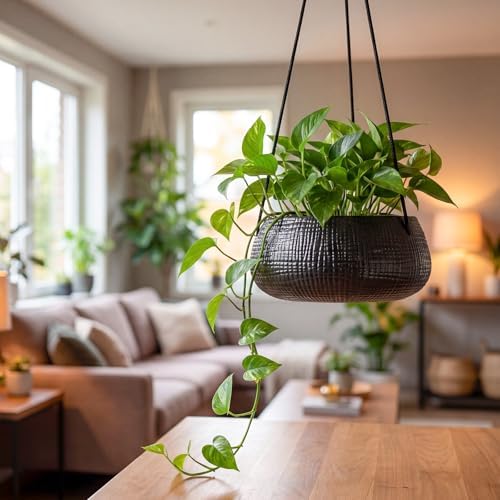 hanging planter for indoor plant 8 in, ceramic, side view
