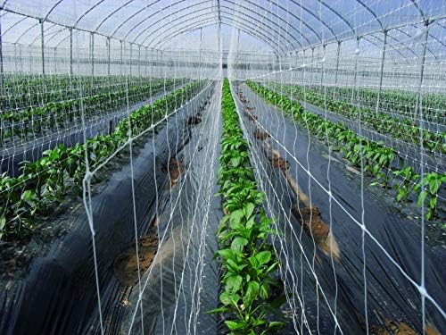 tenax hortonova trellis 6.5x100 white net showing dimensions