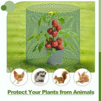plant protectors from animals with extra wide 24" showing dimensions