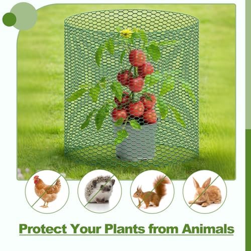 plant protectors from animals with extra wide 24" showing dimensions