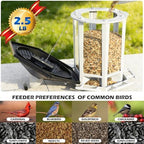 birdream 2 pack solar bird feeders for outdoors shown in use