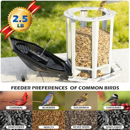 birdream 2 pack solar bird feeders for outdoors shown in use