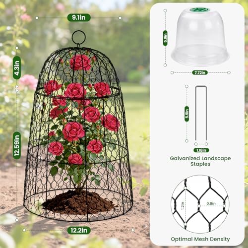 xl metal garden cloches for plants, 17" tall shown in use