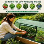 pop-up mesh plant enclosure, plant cover for vegetables, close-up detail