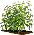 48x46 in u-shape cucumber trellis for climbing plants, main product view
