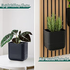 Phoenix Vine 6.5 Inch Wall Mounted Self-Watering Planter Pot for Indoor Houseplants and Herbs | Hanging Planter for Window Sills, Bathroom Walls, Home & Office Décor, Black, Set of 3, 01-C-E-3