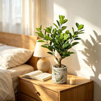 20.5 inch artificial ficus tree in cement pot, package contents