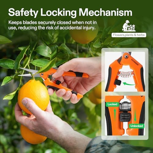 VIVOSUN 6.5 Inch Garden Scissors, Orange Pruning Shears for Plants, 2-Pack | Straight Precision Stainless Steel Blades, Comfort Ergonomic Grips, Ideal Snip for Deadheading, Trimming & Shaping Plants