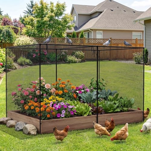 giantex garden crop cage, 10 x 6.5 x on a desk or shelf