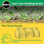 miracle-gro greenhouse, quick snap assembly, clear, 3'x8'x3' showing dimensions