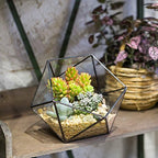 ncyp opened geometric glass terrarium, 6.69" bowl shape, close-up detail