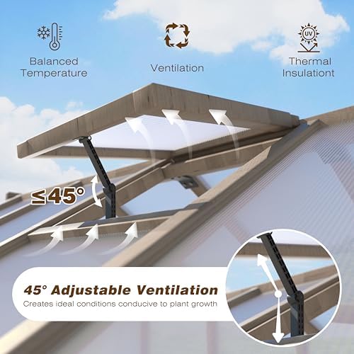 bluewish 6x12ft greenhouse, wood greenhouses with 6mm thick, close-up detail