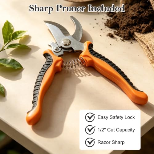 bonsai tools set, 26 pcs garden tools set on a desk or shelf