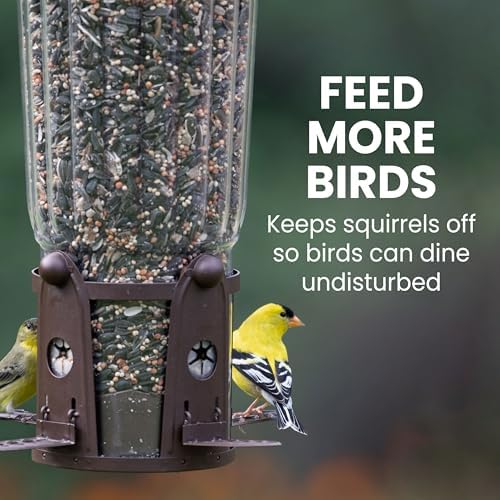 perky-pet squirrel-be-gone max bird feeder, (4) flexport feeding, view 9