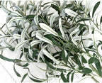 fiveseasonstuff artificial olive branches, 6 gray-green 30 inch, side view